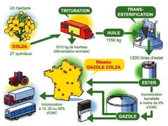 Bilan